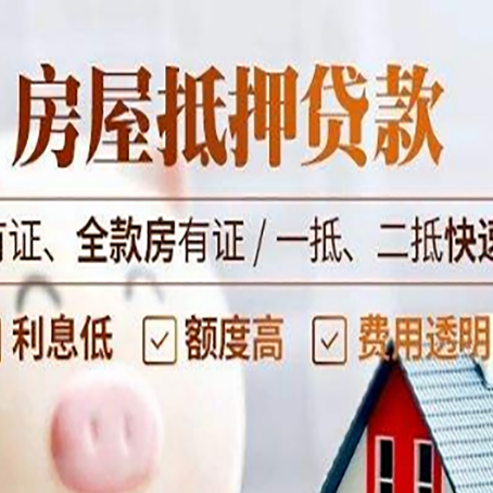 金川贷款中介公司新渝启服要的资料