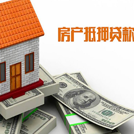 金川贷款公司新渝启服怎么选择